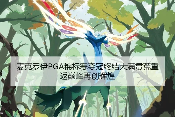 麦克罗伊PGA锦标赛夺冠终结大满贯荒重返巅峰再创辉煌